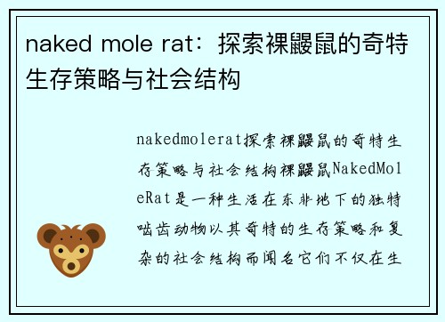 naked mole rat：探索裸鼹鼠的奇特生存策略与社会结构